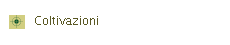 Coltivazioni