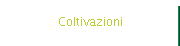 Coltivazioni
